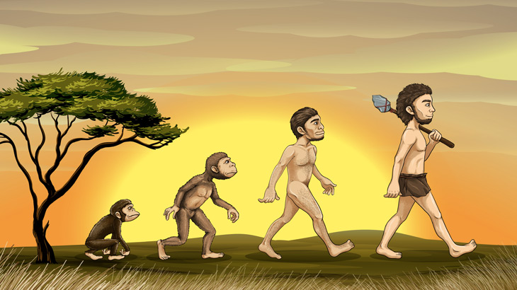 Creatividad educacion