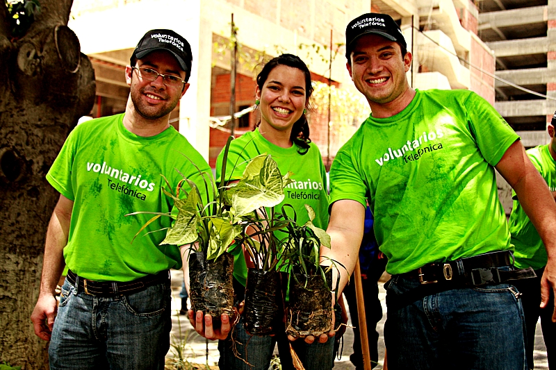 Voluntarios Telefónica de Venezuela sembraron más de tres mil plantas ornamentales