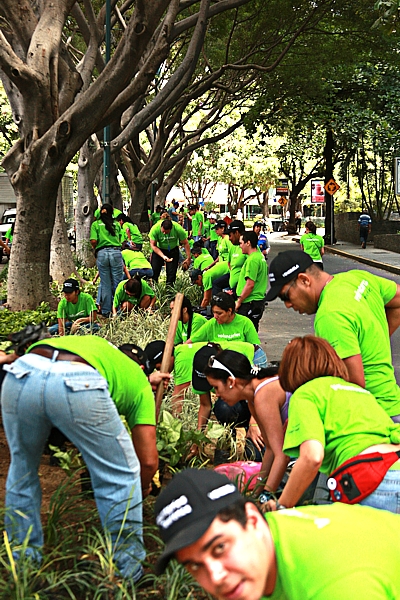 Con el programa “De vuelta a la tierra” el Voluntario Telefónica lleva a cabo iniciativas de reciclaje, reutilización de materiales y protección del medio ambiente, en las que participan los empleados de la compañía en Venezuela