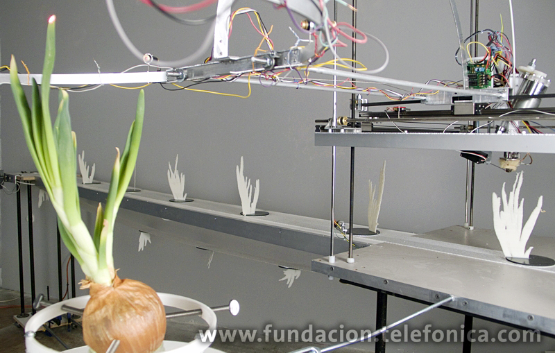 TERCER PREMIO. "Growth Modeling Device", David Bowen. EEUU, 2009.