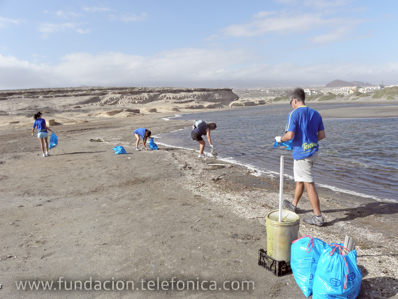 En Tenerife nuestros voluntarios trabajaron por la protección de las aves y el entorno natural de la isla.