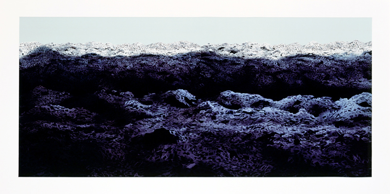 PEREJAUME. Proyecciones, 2003.