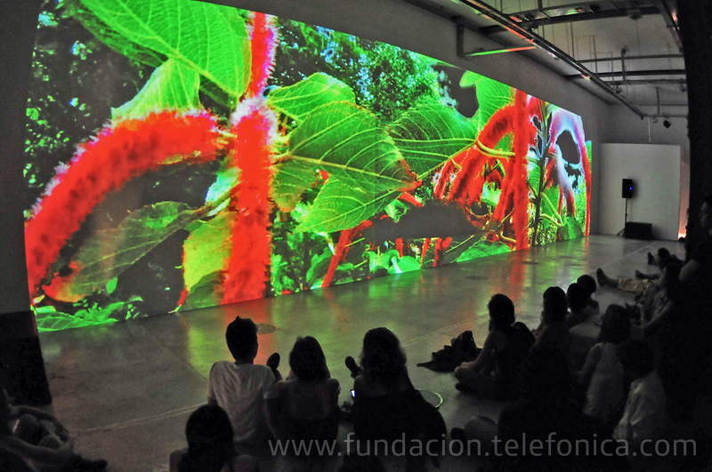 Los días 10, 11 y 12 de marzo se desarrollaron actividades dedicadas a presentar y explorar técnicas vinculadas al video, la performance y la composición en vivo.