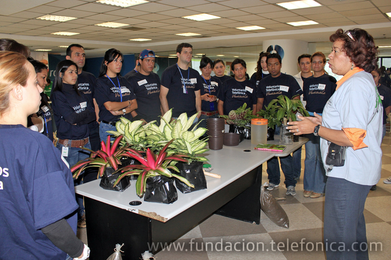 La Gobernación de Miranda y el grupo de jóvenes de Ecoguía brindaron a empleados de Telefónica una capacitación para convertirse en voluntarios ambientales y ser difusores de la conservación del ambiente.