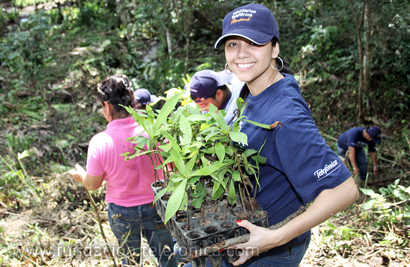 Los Voluntarios de Telefónica plantaron 280 árboles en una jornada que se desarrolló en la provincia de Herrera.