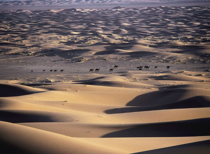 Desierto del Sahara Zagora Marruecos ©Okaimal