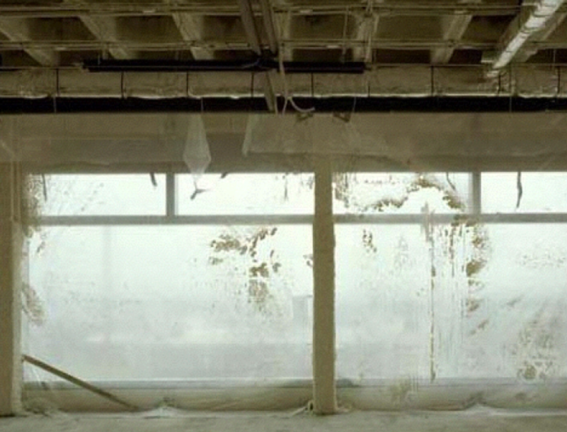 8 Visiones: Distrito C