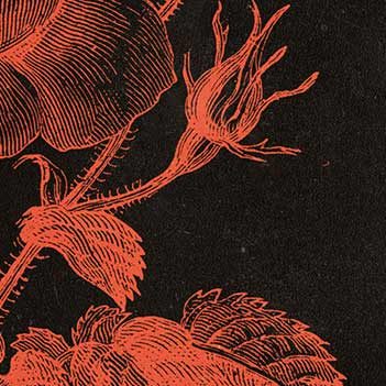 En el marco del #DíaDelLibro, hablamos con Jo Nesbø