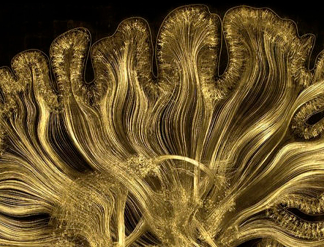 ‘Cerebro(s)’, en Madrid