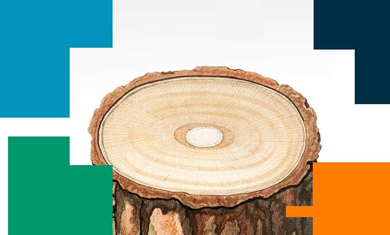 Repensando el mañana. 'La muerte de los bosques', con Francisco Lloret