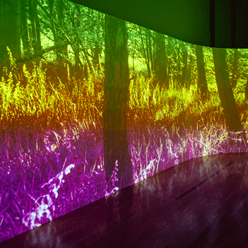 'Joanie Lemercier. Paisajes de luz', en México