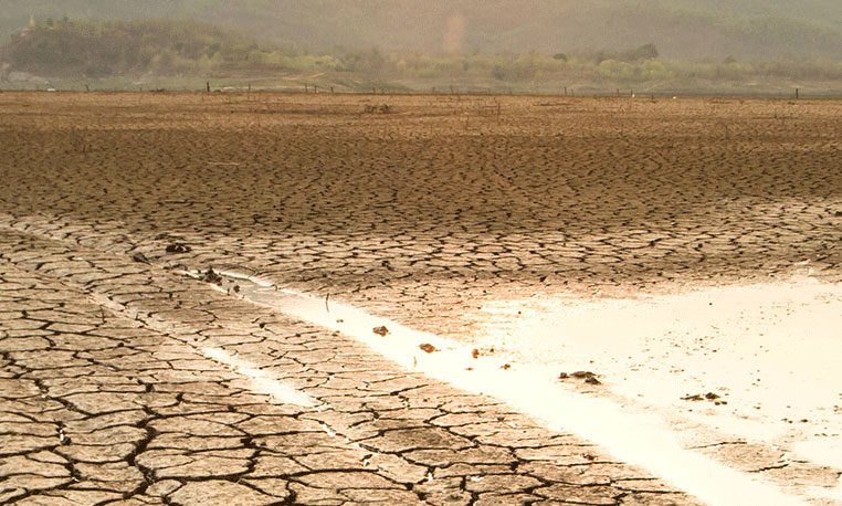 Cómo prevenir las sequías con Inteligencia Artificial