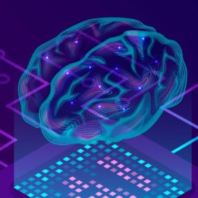 Taller: Laberinto Cerebro