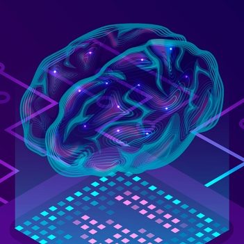 Descubre todo sobre nuestra mente en el taller familiar 'Laberinto cerebral'