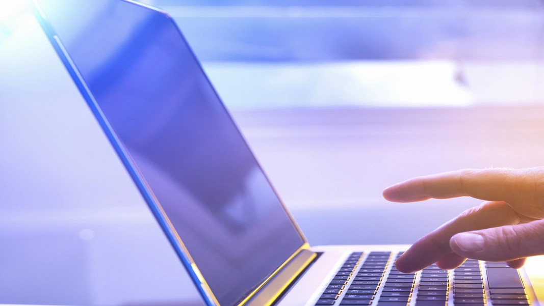 Perfiles-Digitales-Demandados-2024