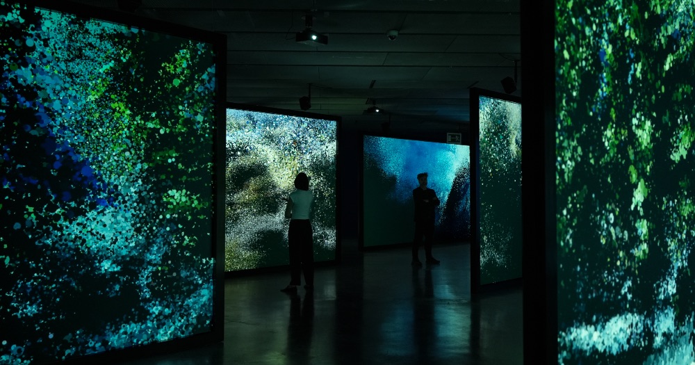 Foto de sala de la exposición ‘Ecos del océano’