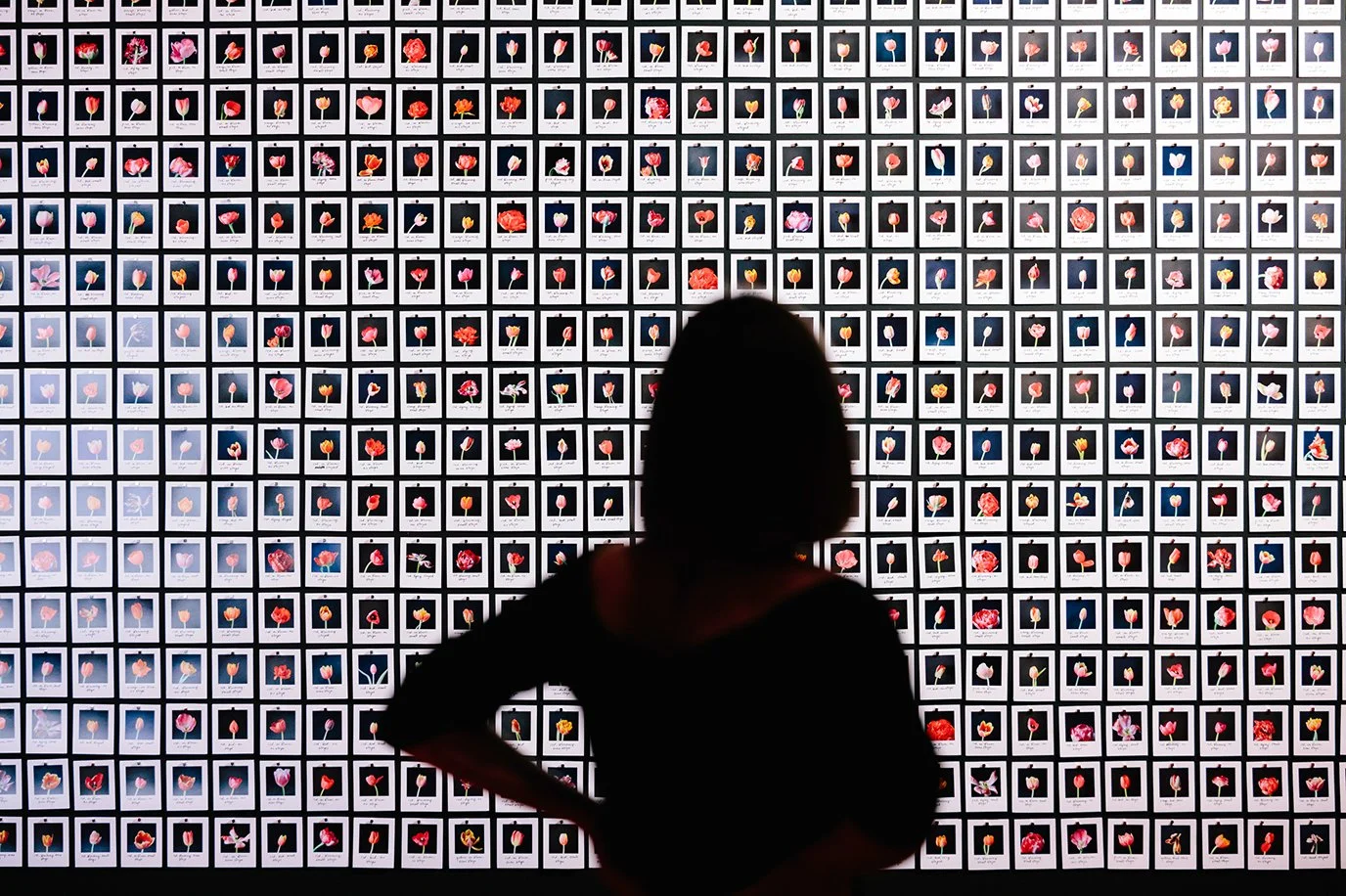 El sueño de la razón, imagen de la instalación de Anna Riedler_Myriad (Tulips)