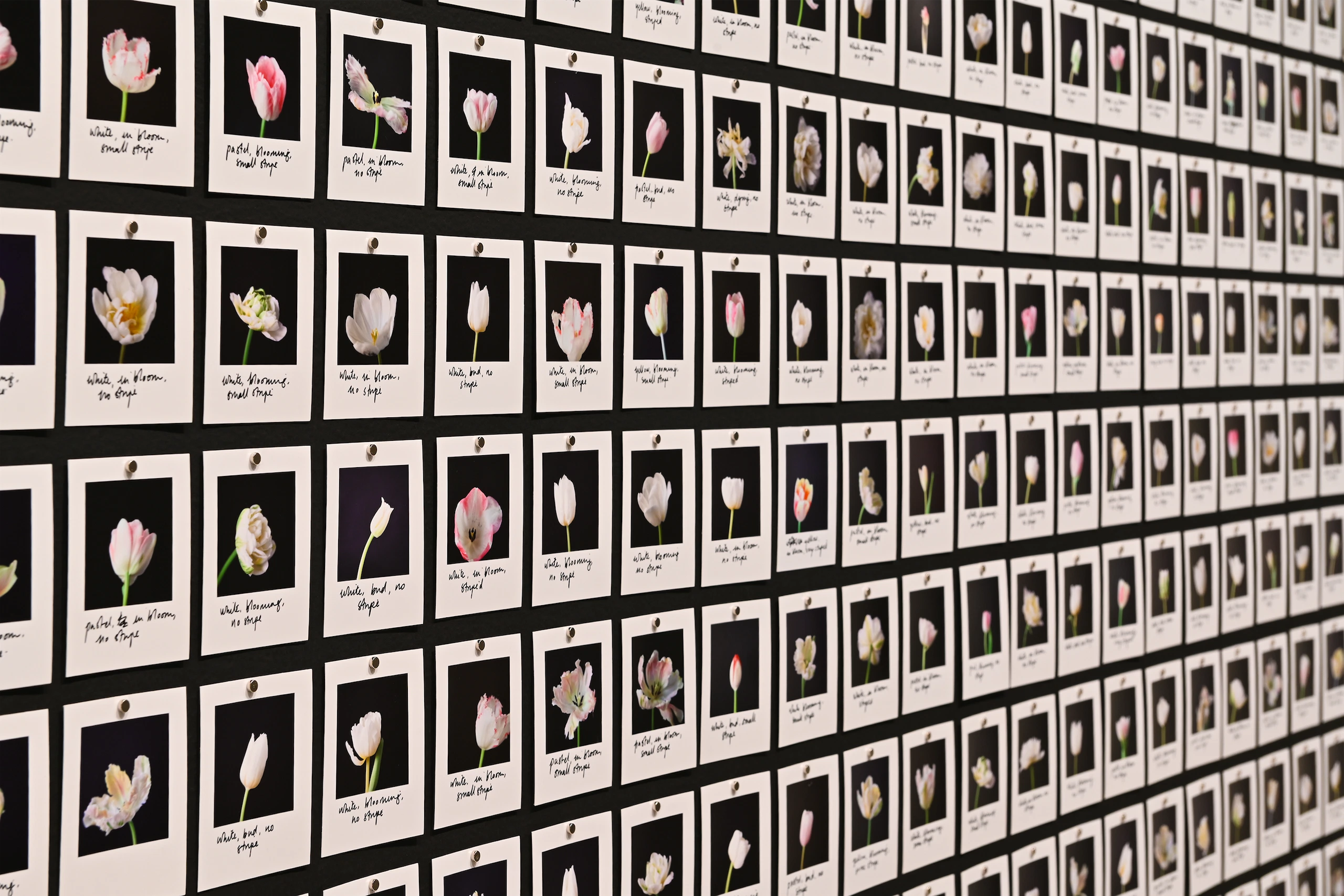 Imagen de la expo El sueño de la razón en Espacio Fundación Telefónica