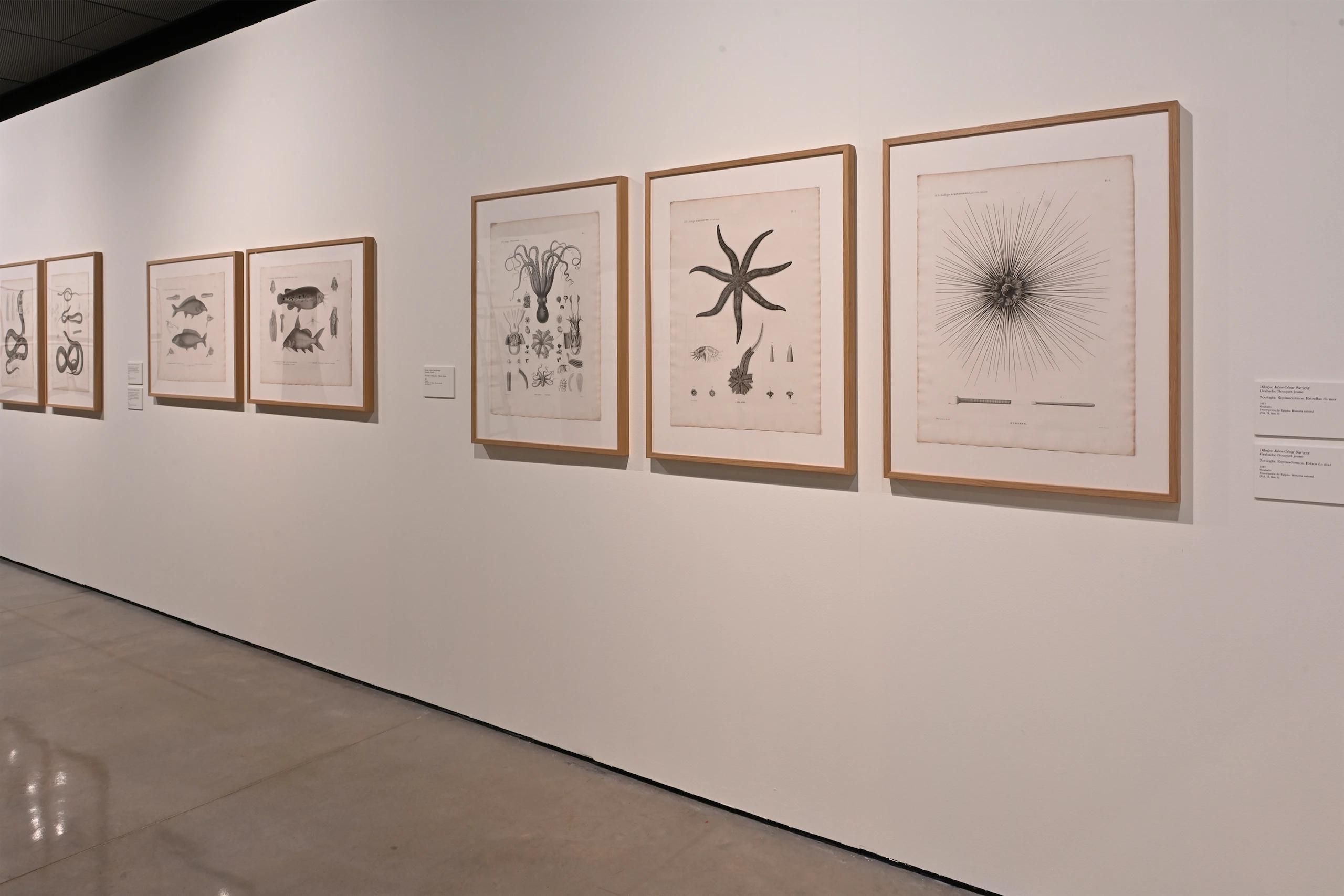 Imagen de la expo El sueño de la razón en Espacio Fundación Telefónica