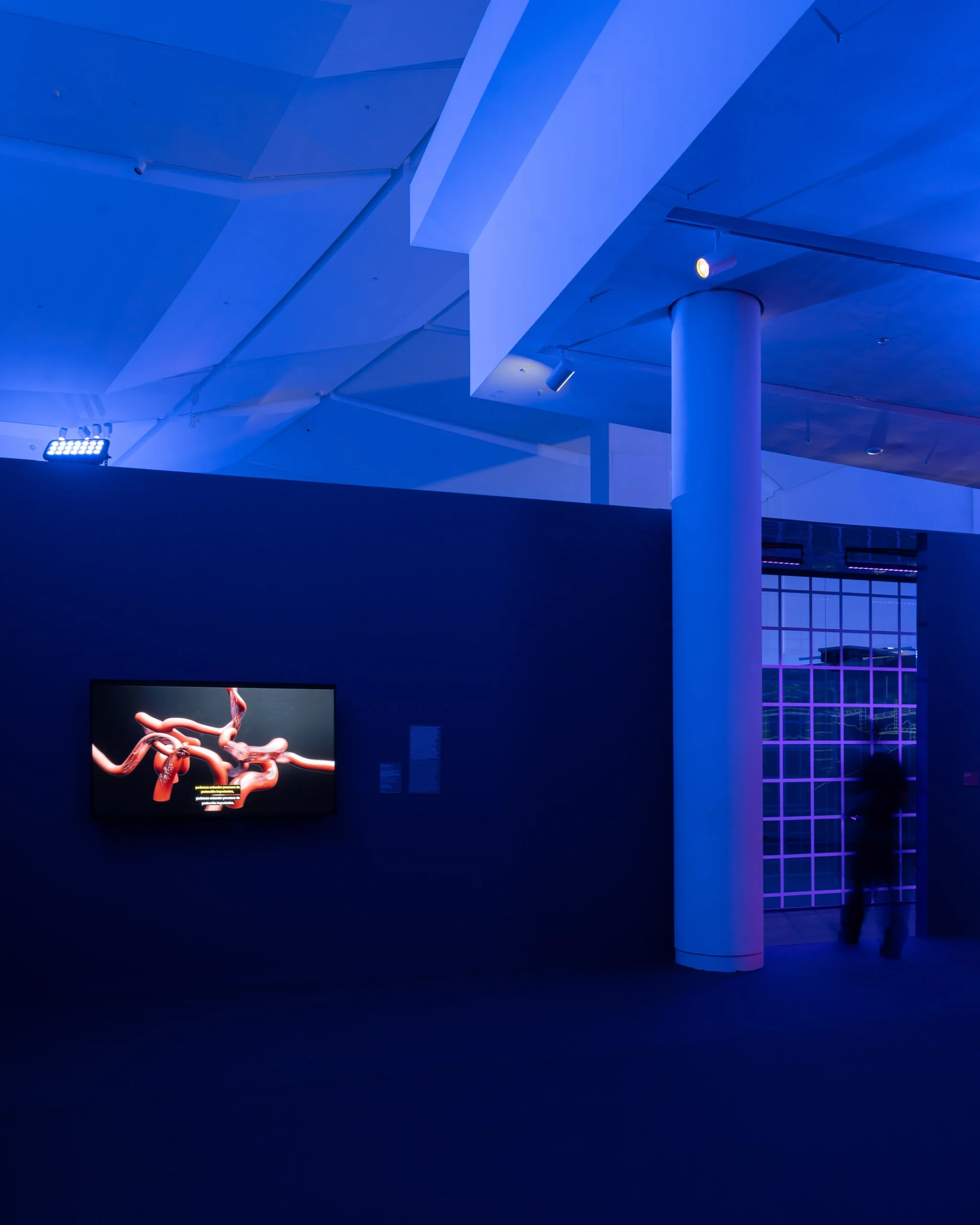 Imagen de sala de la itinerancia 'Mundo expandido. Entre lo físico y lo virtual'