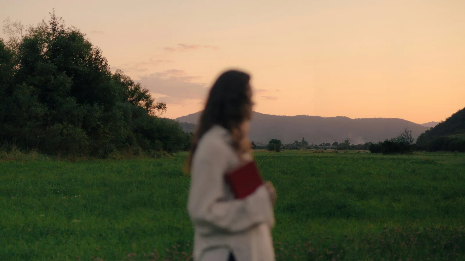 Una chica sujeta un libro al atardecer en mitad de un prado